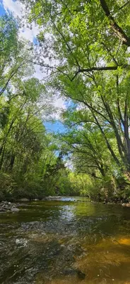 a river with trees on the side of it at Ribera Calma in Los Reartes