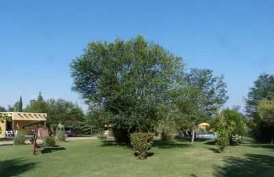a tree in the middle of a yard at Yerba Buena casas de campo - Nono in Nono