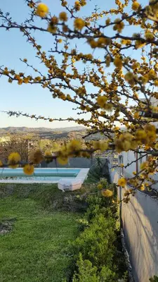a view of a swimming pool through a tree at Casa en Estancia Vieja a 5 min del centro de Carlos Paz in Villa Carlos Paz