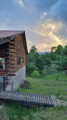 a wooden walkway leading to a log cabin at Aldea de los Cerros in Villa Yacanto