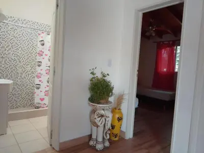 a hallway with two vases and a plant in it at Casa Miranda in Merlo