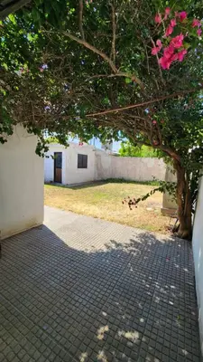 a tree with pink flowers on a sidewalk at El Descanso Placentero 3 Habitaciones in Cordoba