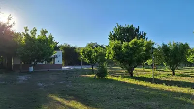 a house in the middle of a field with trees at Napoles complejo in Villa de Las Rosas
