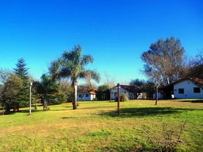a field with a house and a palm tree at Lomas de Belgrano in Villa General Belgrano