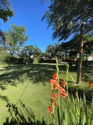 a group of red flowers in a yard at La Charito in Villa Cura Brochero