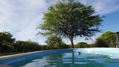 a swimming pool with a tree in the background at Mis tres estrellas in Villa Los Aromos