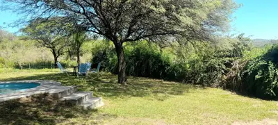a yard with a tree and chairs and a pool at Mis tres estrellas in Villa Los Aromos