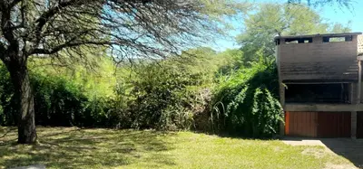 a building with a tree next to a yard at Mis tres estrellas in Villa Los Aromos