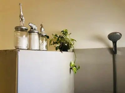 a shelf with jars and a plant on top of a refrigerator at Departamento con cochera terraza y asador in Cordoba
