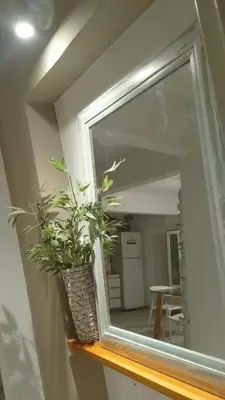 a mirror sitting on top of a shelf with plants at Departamento con cochera terraza y asador in Cordoba