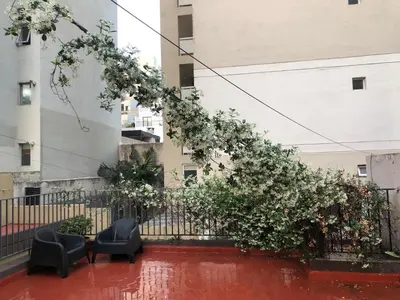 a group of chairs and a bush with white flowers at Departamento con cochera terraza y asador in Cordoba