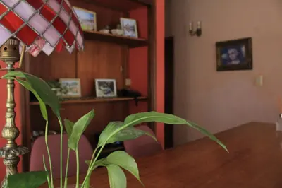 a plant sitting on top of a wooden table at Alta Gracia Hotel Boutique in Alta Gracia