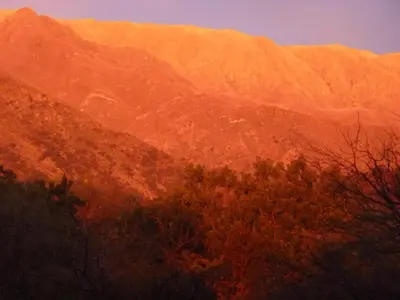 a view of a mountain with trees in front of it at Complejo Pasos Malos in Merlo