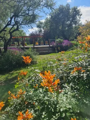 a garden with flowers and a bench in the background at Complejo Pasos Malos in Merlo