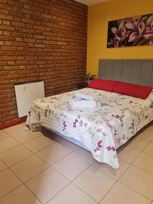a bed in a room with a brick wall at Complejo Pasos Malos in Merlo