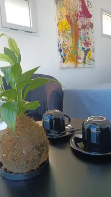 a table with two tea pots and a potted plant at Anima Lodge in Villa Carlos Paz