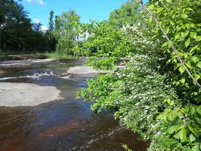a river with white flowers on the banks at Casa Cali in Tanti Nuevo
