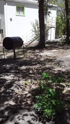 a hammock sitting in a yard next to a tree at Casa Cali in Tanti Nuevo