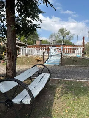 a white park bench sitting next to a tree at Cabañas La Lila in Santa Rosa de Calamuchita