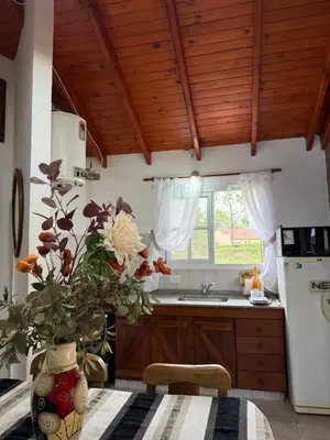a kitchen with a vase of flowers on a table at Cabañas Lomas del mirador in Villa del Dique