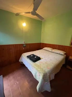 a bedroom with a bed with a ceiling fan at Hosteria Rosales in Trapiche
