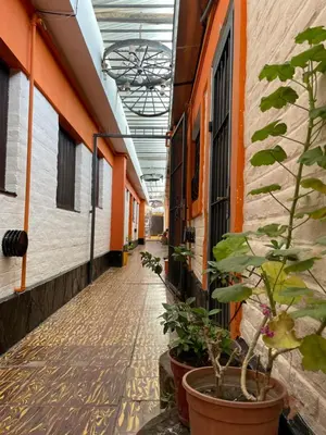 an empty corridor of an office building with plants at Hosteria Rosales in Trapiche