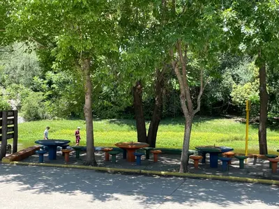a group of picnic tables in a park with trees at Hosteria Rosales in Trapiche