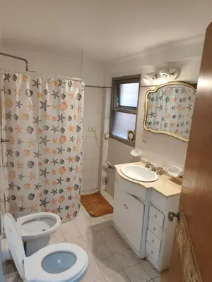 a bathroom with a toilet and a sink and a shower at Departamento en calle Obispo Trejo in Cordoba