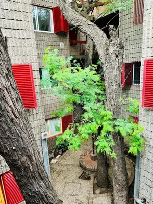 a tree in front of a building with red windows at Encantador departamento en Güemes in Cordoba