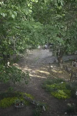 a dirt path through a forest with trees at NATURAL Tanti Lomas in Tanti