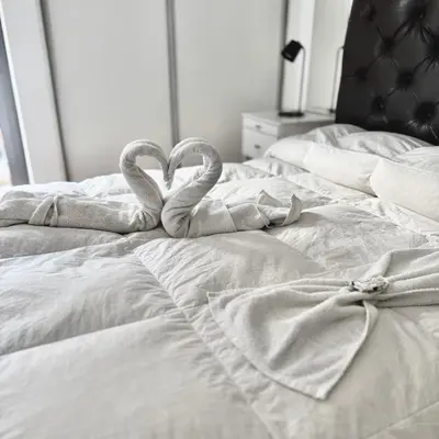 two swans making a heart on a bed at Ayres de Córdoba 4, Asador, Terraza, Balcón, Excelente Ubicación in Cordoba