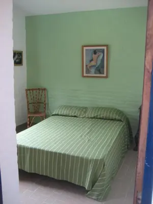 a green bed in a room with a picture on the wall at casa 8 personas in Mina Clavero