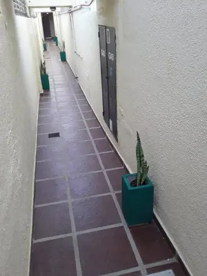 a tiled hallway with a potted plant on the floor at El Dpto de Gabicito V in Cordoba