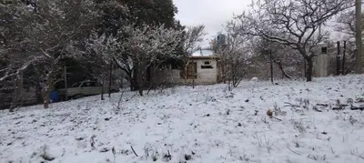 a snow covered yard with trees and a house at Tierra de Arroyo, Mallin-Tanti in Tanti