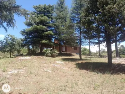 a house on a hill with trees in the background at CASA ANTONIO-sobre el rio in Villa Carlos Paz