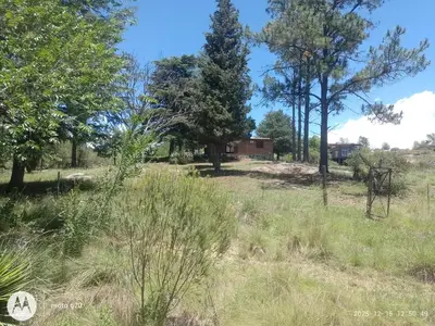 a field with trees and a house in the background at CASA ANTONIO-sobre el rio in Villa Carlos Paz