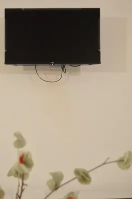 a flat screen tv on a white wall with flowers at Apartamento del Sol para 5 in Villa Carlos Paz