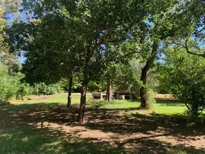 a group of trees in a field with grass at Casita de campo in Villa Ciudad Parque