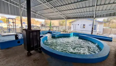 a large pool of water in a playground at Lo del Turco in La Porteña