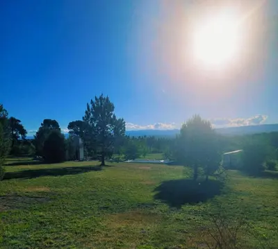 a field with trees and the sun in the sky at Bosquemolinos in Villa Los Molinos