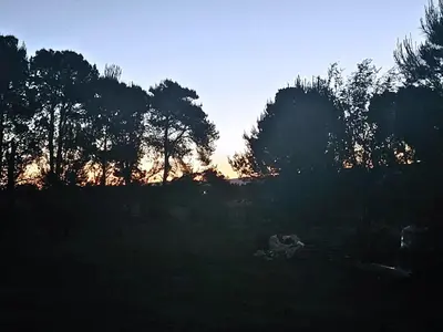 a sunset in a field with trees in the background at Bosquemolinos in Villa Los Molinos