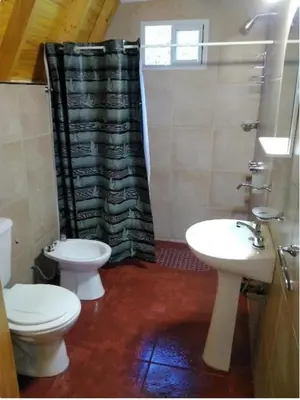 a bathroom with a toilet and a sink and a shower at Cabañas y departamentos Sol y Luna in Villa General Belgrano