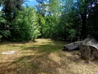 a large rock sitting in a field with trees at Rincón de Nina in Tanti