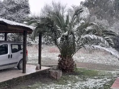 a palm tree sitting next to a parking lot at Rincón de Nina in Tanti