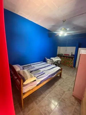 a bed in a room with a blue wall at Albricias in Mina Clavero
