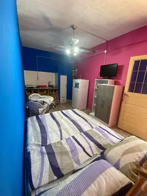 a bedroom with a bed and a pink wall at Albricias in Mina Clavero