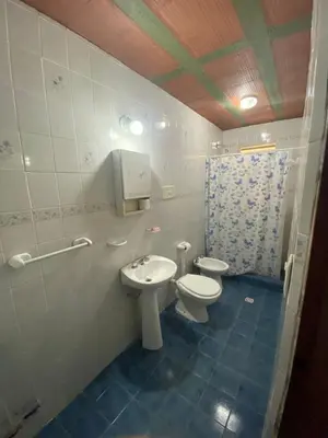 a bathroom with a toilet and a sink at Albricias in Mina Clavero