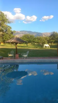 a swimming pool with two chairs and a horse in a field at Cabañas Bendita Tierra- Crespin in Los Molles