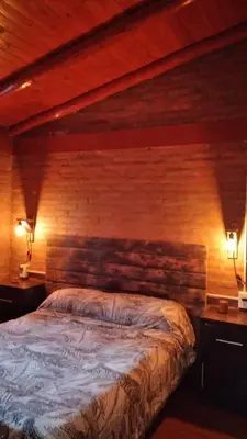 a bedroom with a wooden wall with a bed at Cabañas ojo de aguila in Panaholma
