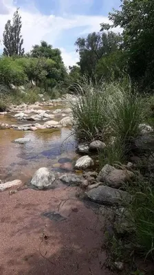 a stream of water with rocks and grass at Rincón del Benítez in Cortaderas